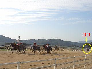 2006100901.jpg