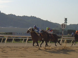 2006100902.jpg
