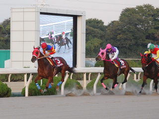 200711141.jpg