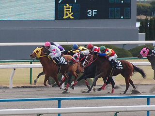 200802244.jpg
