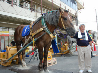 200807074.jpg