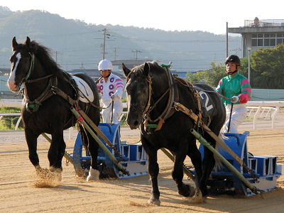 200909202.jpg