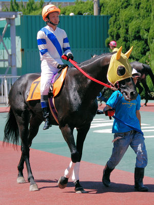 201008085.jpg