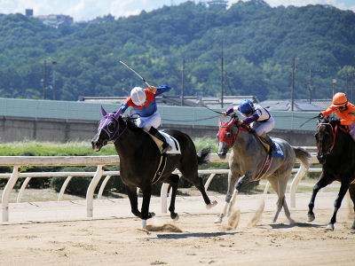 201008086.jpg