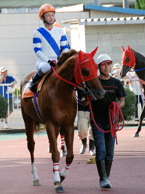 201008087.jpg
