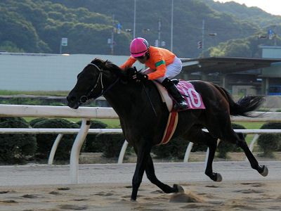 201008088.jpg