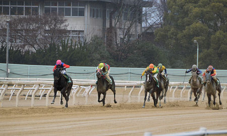 201203041.jpg