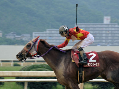 201206241.jpg