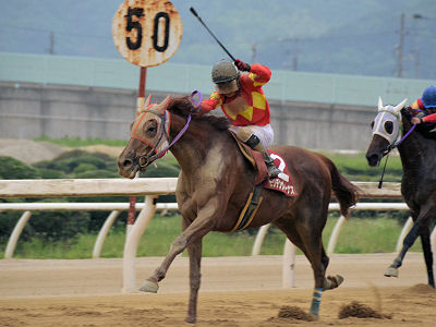 201206242.jpg