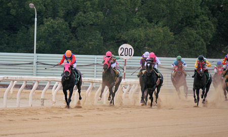 201209091.jpg