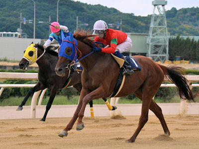 201209095.jpg
