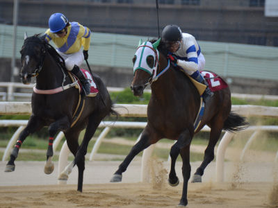 201209096.jpg