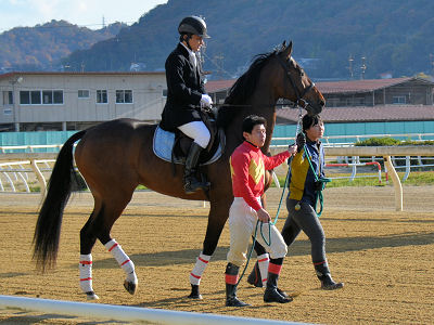 201212011.jpg