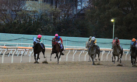 201212021.jpg