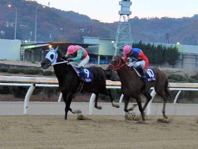 201212022.jpg