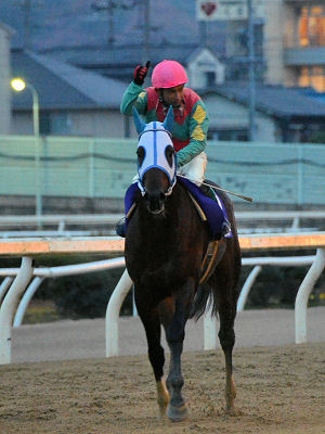 201212023.jpg