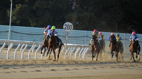 201302021.jpg