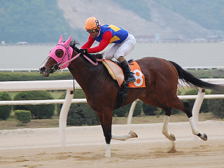 200805045.jpg