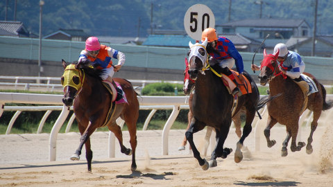 200808031.jpg