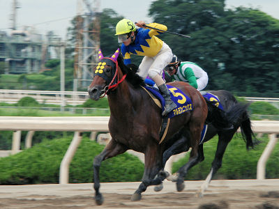 200907163.jpg
