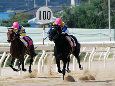200910181.jpg