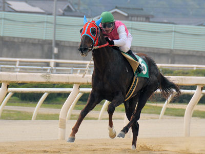 201104172.jpg