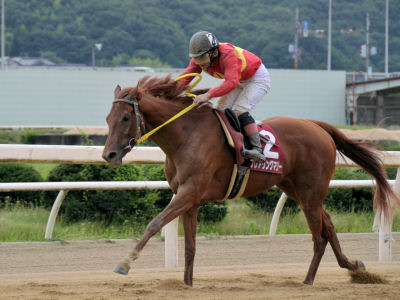 201106262.jpg