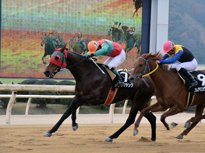 201201032.jpg