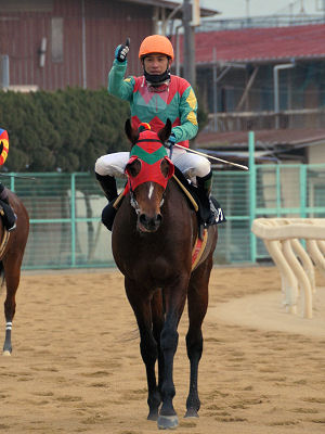 201201033.jpg