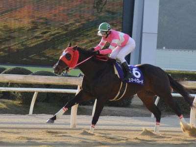 201201302.jpg