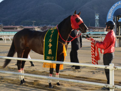201201303.jpg