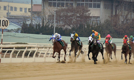 201202051.jpg