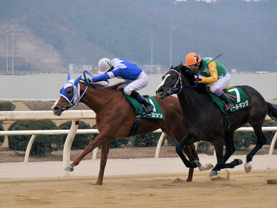 201202052.jpg