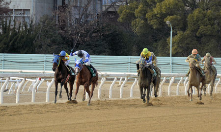 201202191.jpg