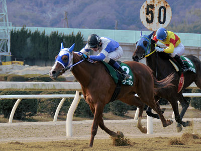201202192.jpg