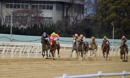 201202261.jpg