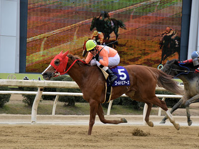 201202262.jpg