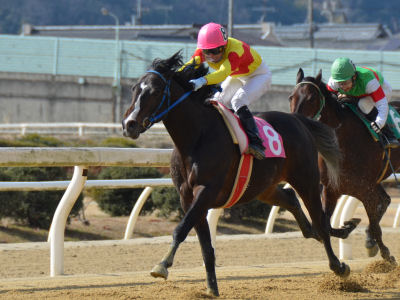 201202266.jpg