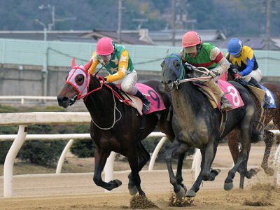 201202268.jpg