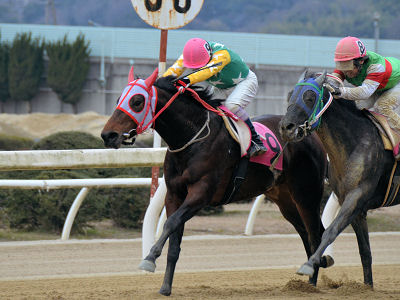 201202269.jpg
