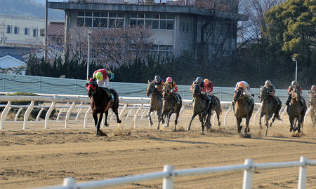 201203121.jpg