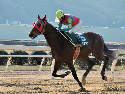 201203122.jpg