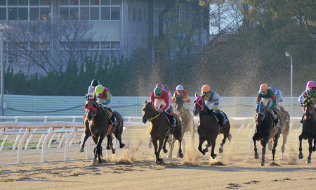 201204151.jpg