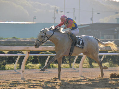 201204152.jpg