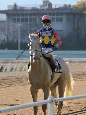 201204153.jpg