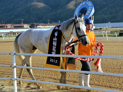 201204154.jpg