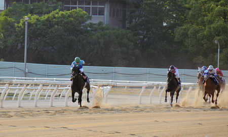 201205131.jpg