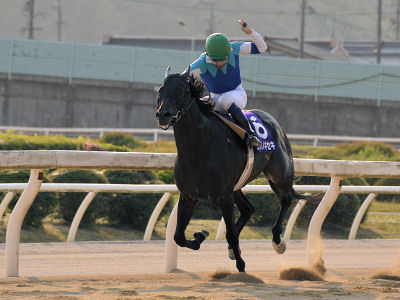 201205132.jpg