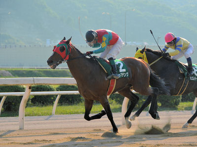 201205272.jpg