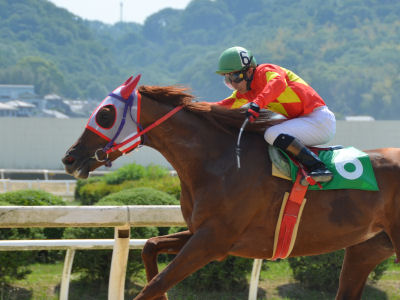 201205275.jpg